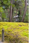 風景
