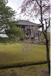 建物